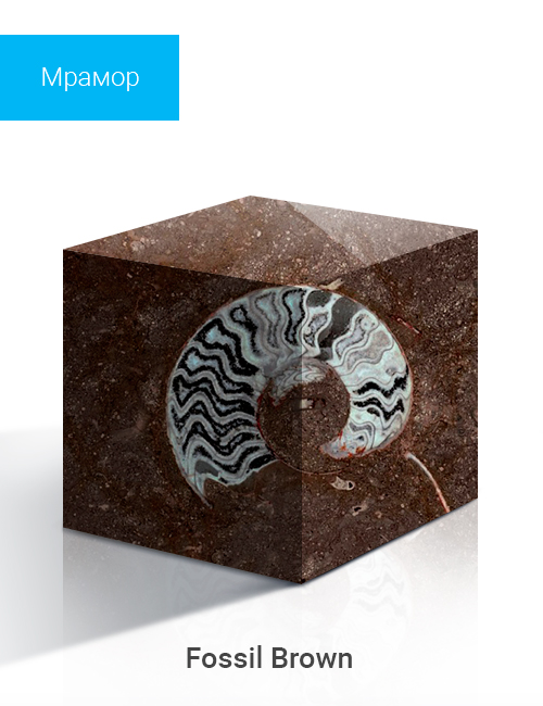 Fossil Brown