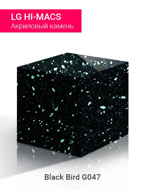 Black Bird G047